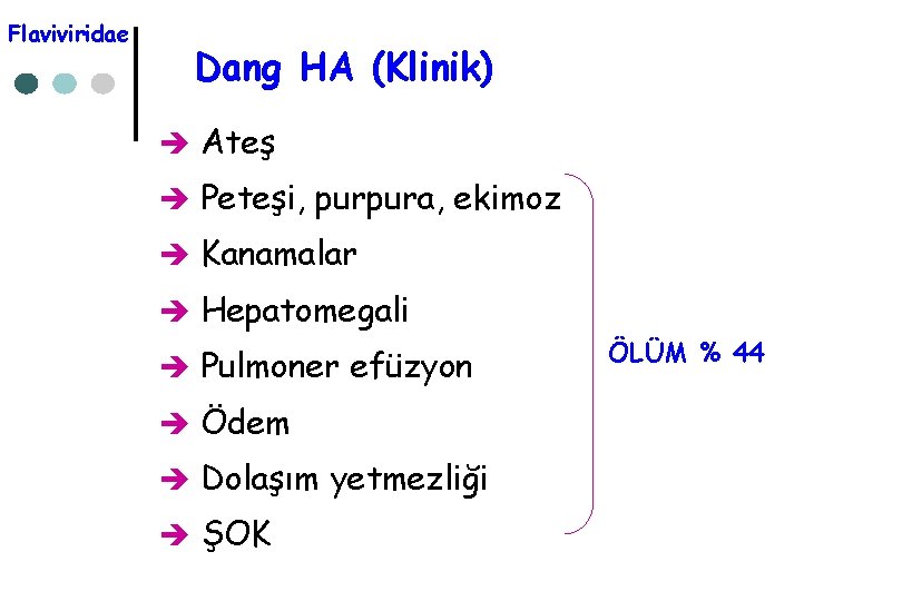 Flaviviridae Dang HA (Klinik) è Ateş è Peteşi, purpura, ekimoz è Kanamalar è Hepatomegali