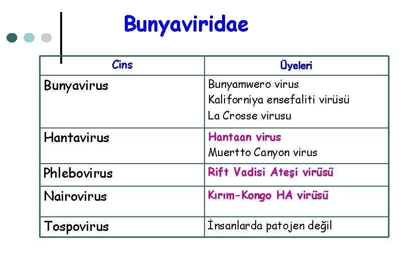 Bunyaviridae Cins Üyeleri Bunyavirus Bunyamwero virus Kaliforniya ensefaliti virüsü La Crosse virusu Hantavirus Hantaan