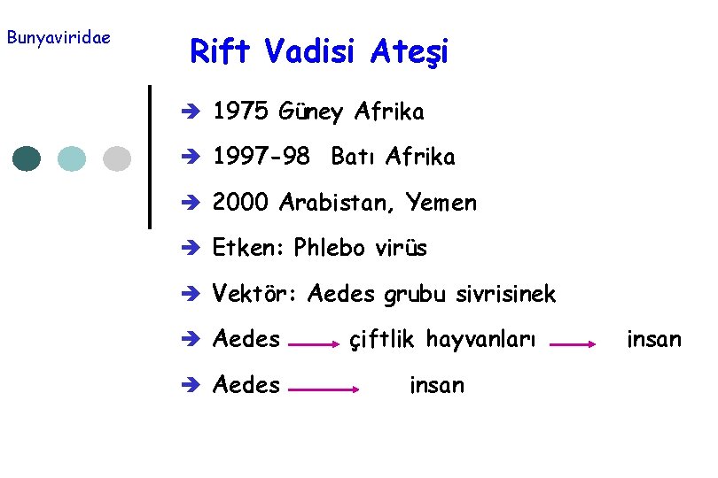 Bunyaviridae Rift Vadisi Ateşi è 1975 Güney Afrika è 1997 -98 Batı Afrika è