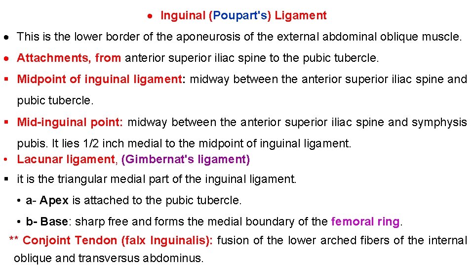  Inguinal (Poupart's) Ligament This is the lower border of the aponeurosis of the