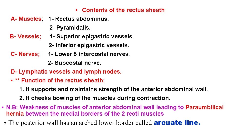  • Contents of the rectus sheath A- Muscles; 1 - Rectus abdominus. 2