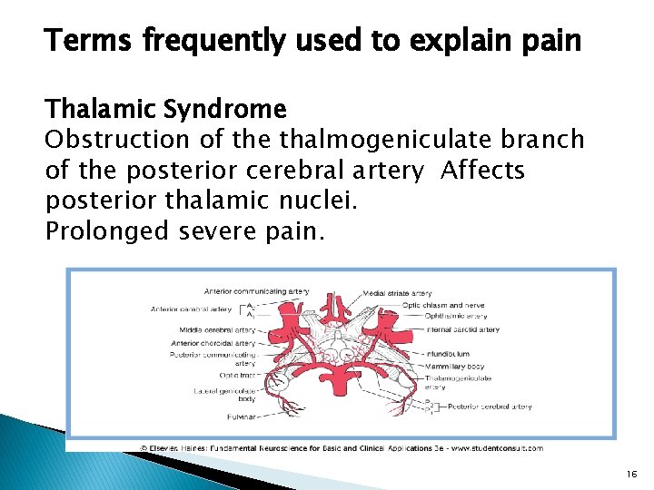 Terms frequently used to explain pain Thalamic Syndrome Obstruction of the thalmogeniculate branch of