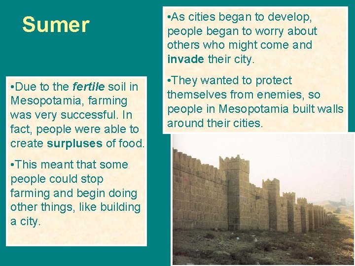 Sumer • Due to the fertile soil in Mesopotamia, farming was very successful. In