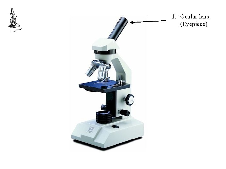 1. Ocular lens (Eyepiece) 