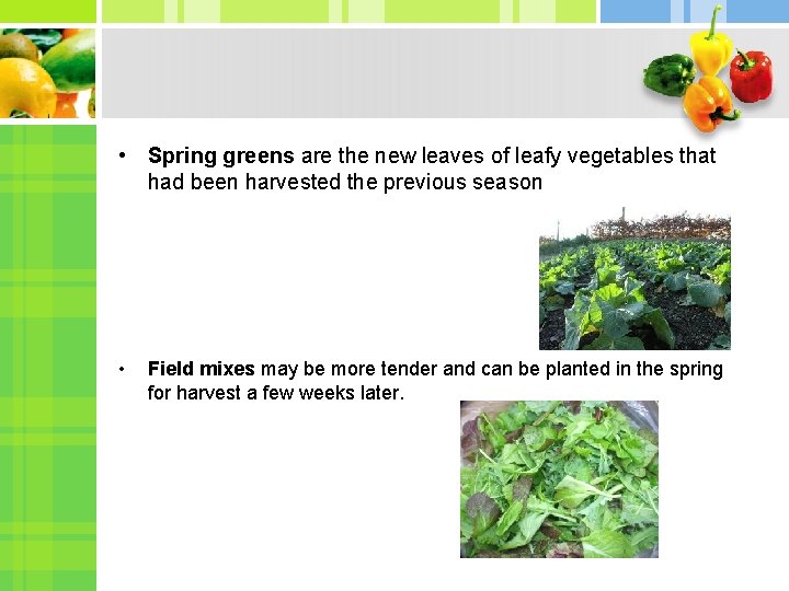  • Spring greens are the new leaves of leafy vegetables that had been