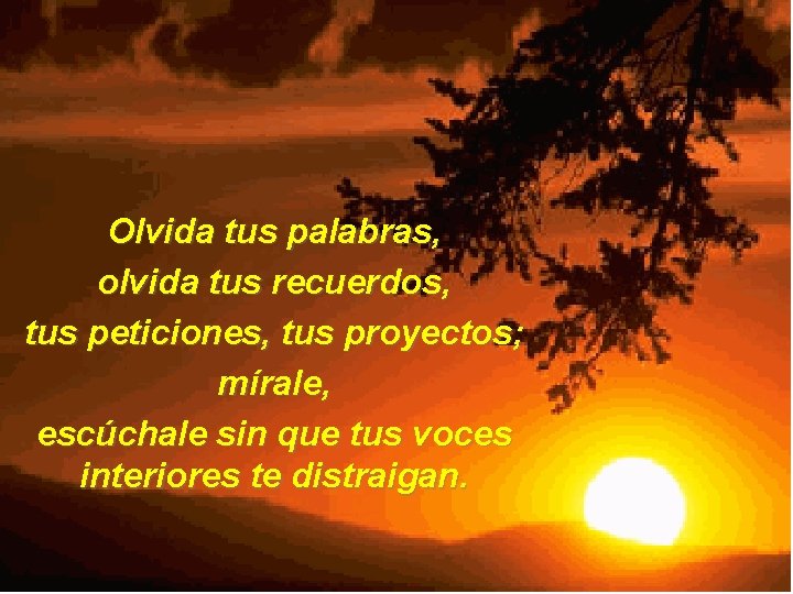 Olvida tus palabras, olvida tus recuerdos, tus peticiones, tus proyectos; mírale, escúchale sin que