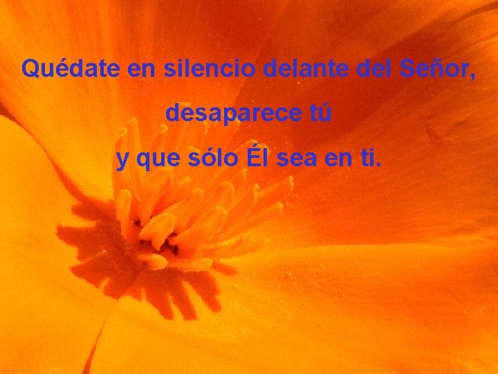 Quédate en silencio delante del Señor, desaparece tú y que sólo Él sea en