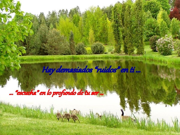 Hay demasiados “ruidos” en ti. . . “escucha” en lo profundo de tu ser.