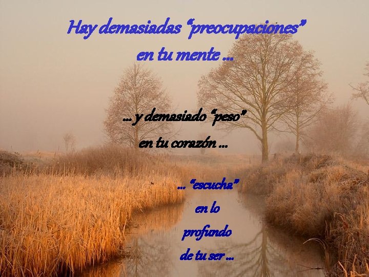 Hay demasiadas “preocupaciones” en tu mente. . . y demasiado “peso” en tu corazón.