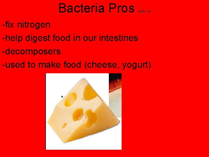 Bacteria Pros tasty vid -fix nitrogen -help digest food in our intestines -decomposers -used