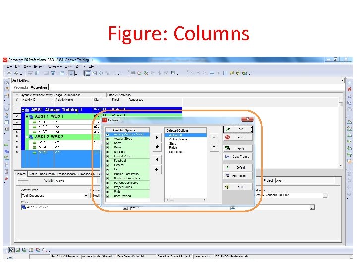 Figure: Columns 