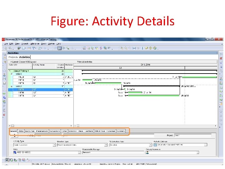 Figure: Activity Details 