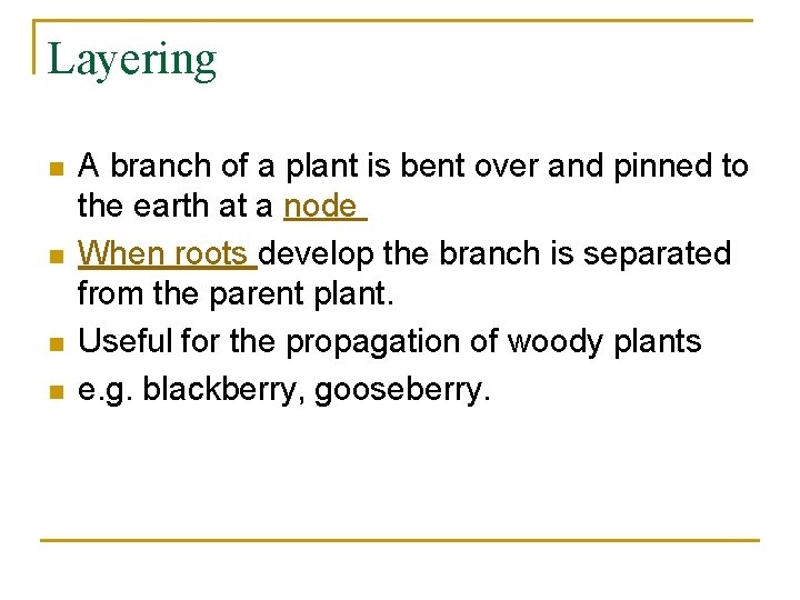 Layering n n A branch of a plant is bent over and pinned to
