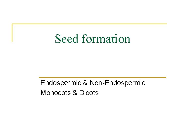 Seed formation Endospermic & Non-Endospermic Monocots & Dicots 