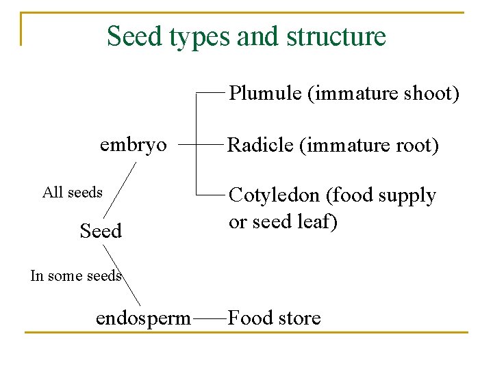 Seed types and structure Plumule (immature shoot) embryo All seeds Seed Radicle (immature root)