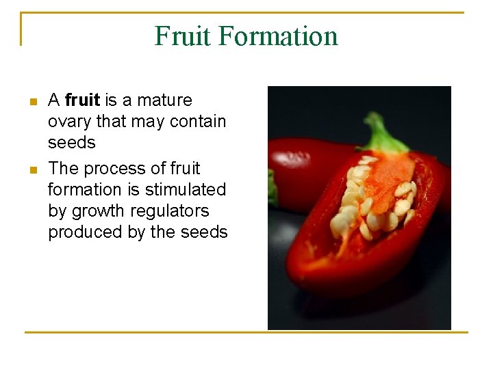 Fruit Formation n n A fruit is a mature ovary that may contain seeds