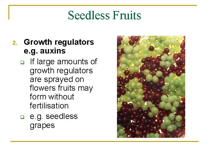 Seedless Fruits 2. Growth regulators e. g. auxins q If large amounts of growth