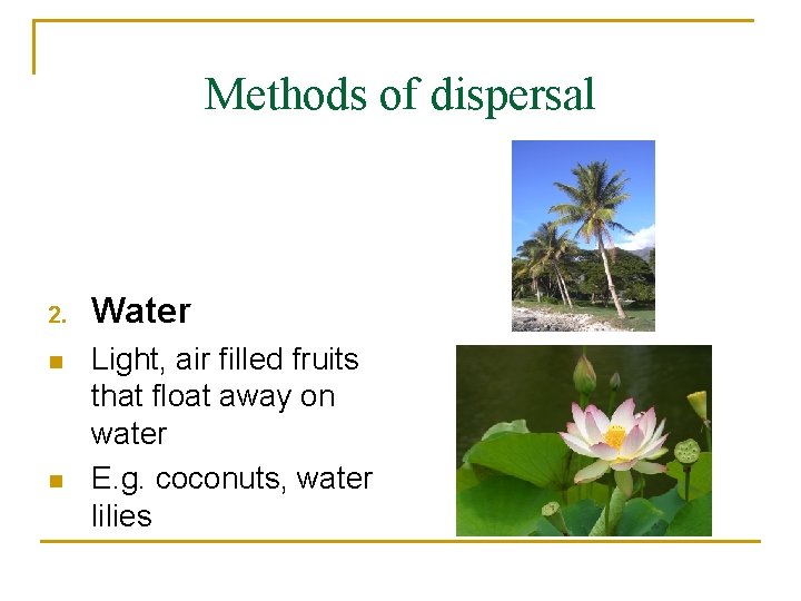 Methods of dispersal 2. n n Water Light, air filled fruits that float away