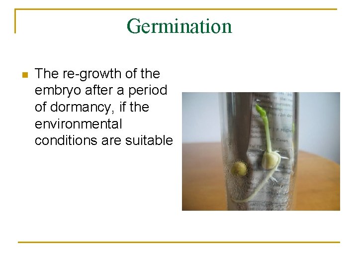 Germination n The re-growth of the embryo after a period of dormancy, if the
