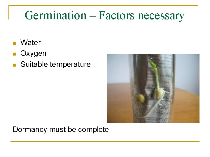 Germination – Factors necessary n n n Water Oxygen Suitable temperature Dormancy must be