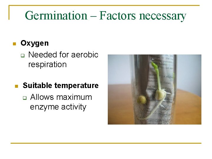 Germination – Factors necessary n Oxygen q n Needed for aerobic respiration Suitable temperature