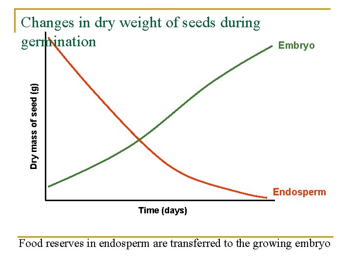 Embryo Dry mass of seed (g) Changes in dry weight of seeds during germination