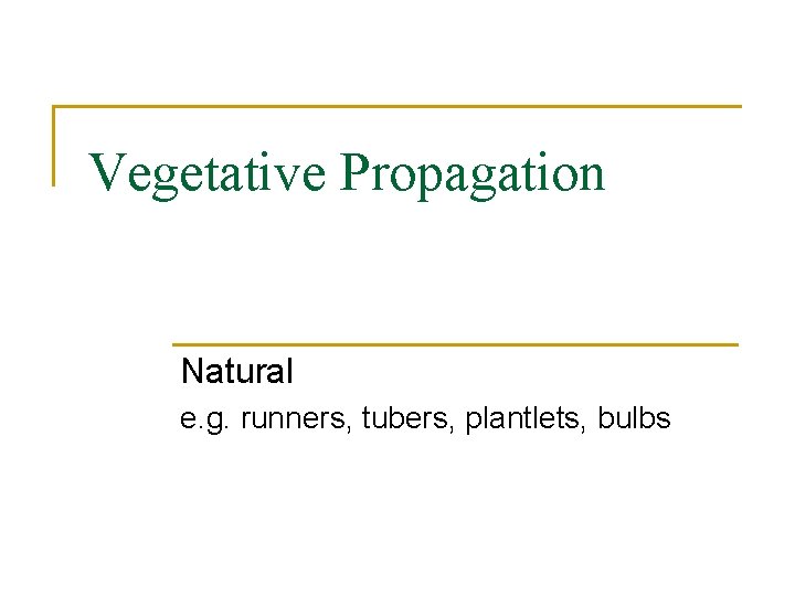 Vegetative Propagation Natural e. g. runners, tubers, plantlets, bulbs 