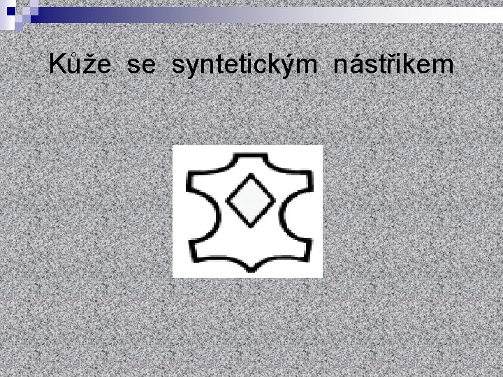 Kůže se syntetickým nástřikem 