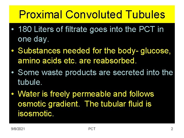 Proximal Convoluted Tubules • 180 Liters of filtrate goes into the PCT in one