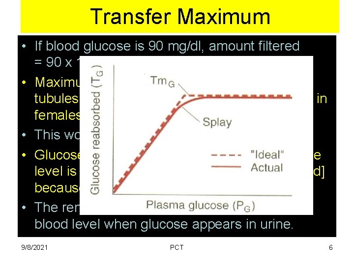 Transfer Maximum • If blood glucose is 90 mg/dl, amount filtered = 90 x