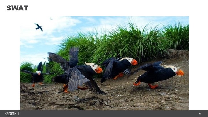SWAT 2 25 