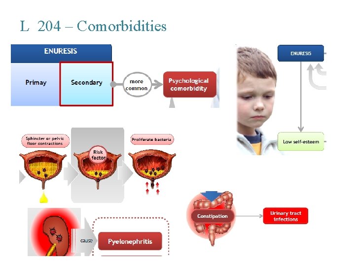 L 204 – Comorbidities 