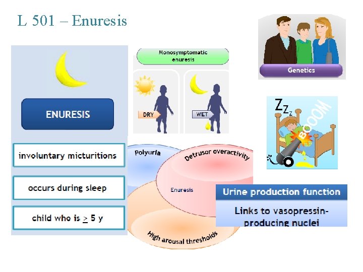 L 501 – Enuresis 