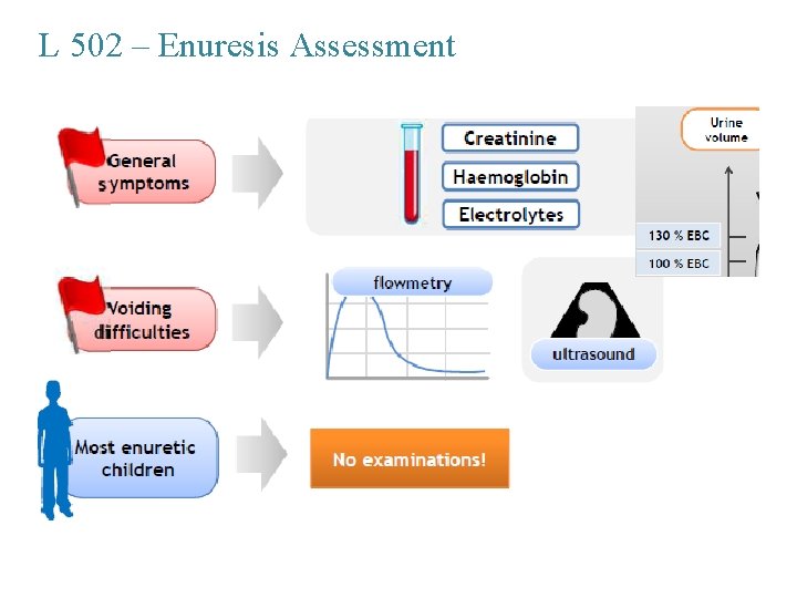 L 502 – Enuresis Assessment 