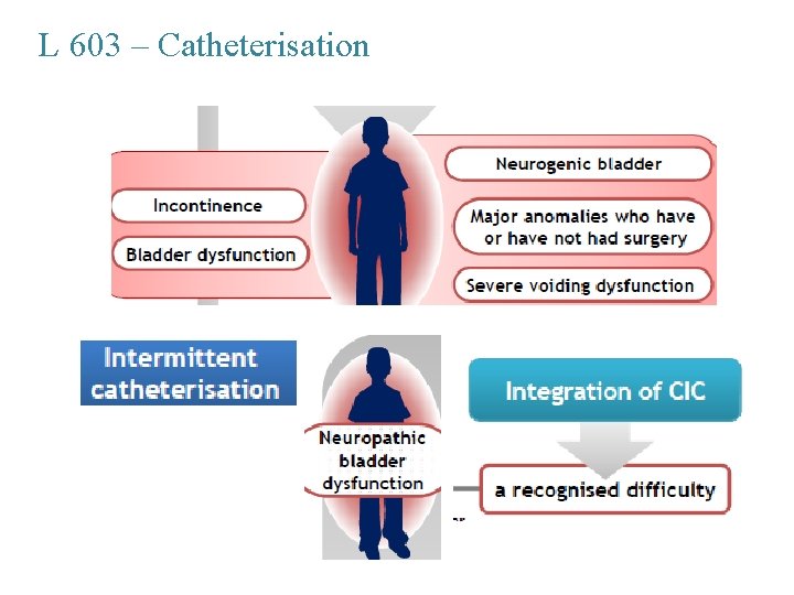 L 603 – Catheterisation 