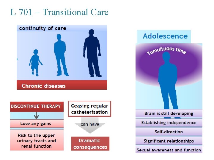 L 701 – Transitional Care 