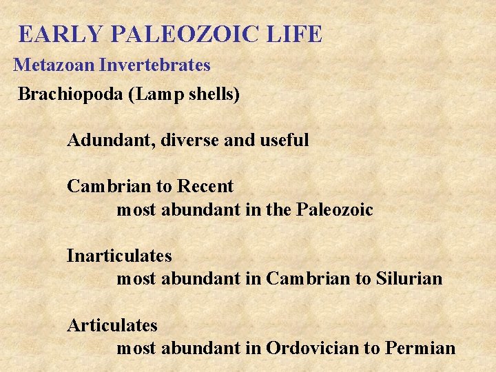 EARLY PALEOZOIC LIFE Metazoan Invertebrates Brachiopoda (Lamp shells) Adundant, diverse and useful Cambrian to