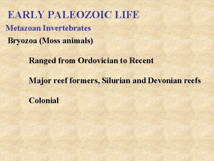 EARLY PALEOZOIC LIFE Metazoan Invertebrates Bryozoa (Moss animals) Ranged from Ordovician to Recent Major