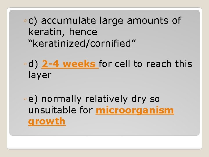 ◦ c) accumulate large amounts of keratin, hence “keratinized/cornified” ◦ d) 2 -4 weeks ◦ c) accumulate large amounts of keratin, hence “keratinized/cornified” ◦ d) 2 -4 weeks