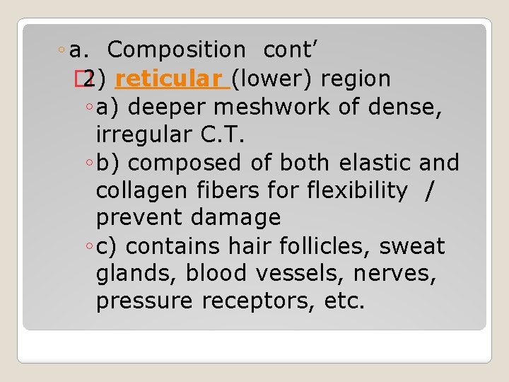 ◦ a. Composition cont’ � 2) reticular (lower) region ◦ a) deeper meshwork of ◦ a. Composition cont’ � 2) reticular (lower) region ◦ a) deeper meshwork of