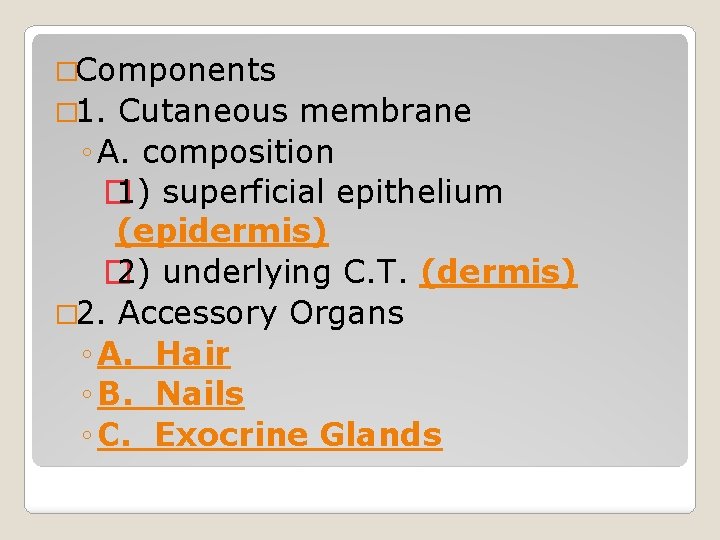 �Components � 1. Cutaneous membrane ◦ A. composition � 1) superficial epithelium (epidermis) � �Components � 1. Cutaneous membrane ◦ A. composition � 1) superficial epithelium (epidermis) �