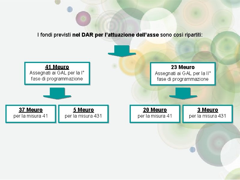I fondi previsti nel DAR per l’attuazione dell’asse sono così ripartiti: 41 Meuro Assegnati
