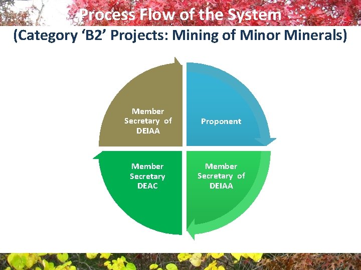 Process Flow of the System (Category ‘B 2’ Projects: Mining of Minor Minerals) Member