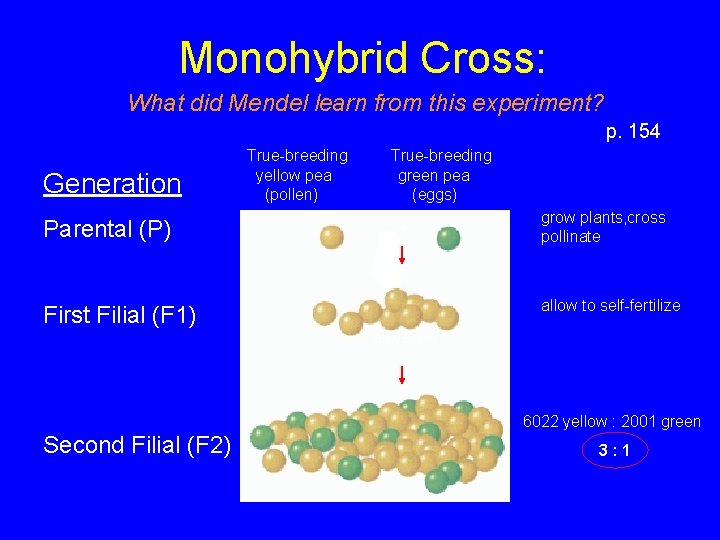 Monohybrid Cross: What did Mendel learn from this experiment? p. 154 Generation Parental (P)