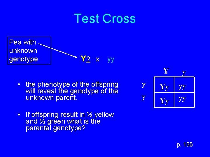 Test Cross Pea with unknown genotype Y? x yy • the phenotype of the