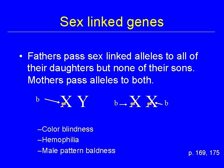 Sex linked genes • Fathers pass sex linked alleles to all of their daughters