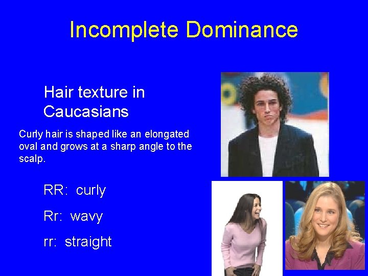 Incomplete Dominance Hair texture in Caucasians Curly hair is shaped like an elongated oval