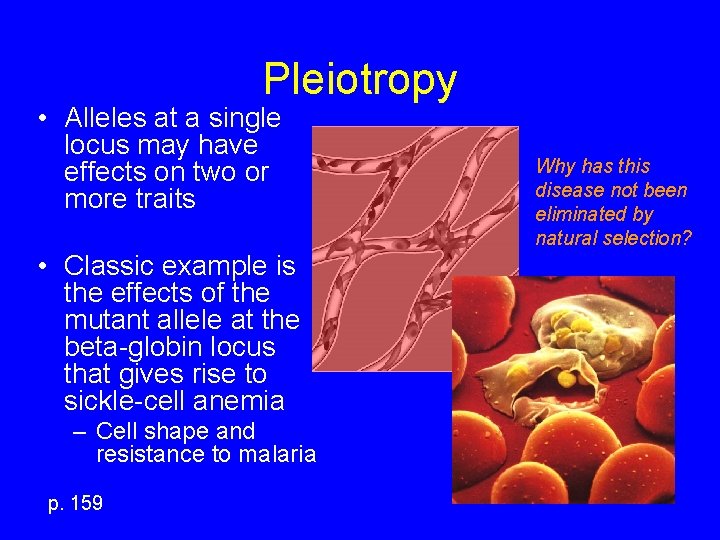 Pleiotropy • Alleles at a single locus may have effects on two or more
