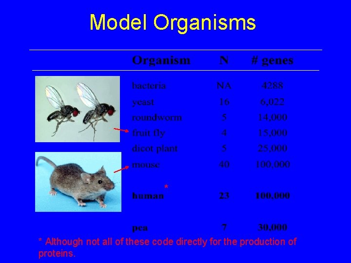 Model Organisms * * Although not all of these code directly for the production