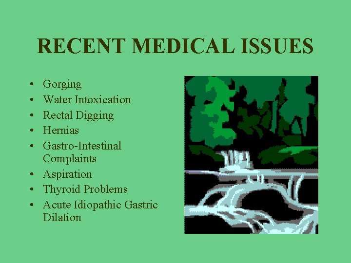 RECENT MEDICAL ISSUES • • • Gorging Water Intoxication Rectal Digging Hernias Gastro-Intestinal Complaints